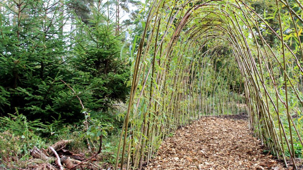 Myternas Skog skapar nyfikenhet för utelek