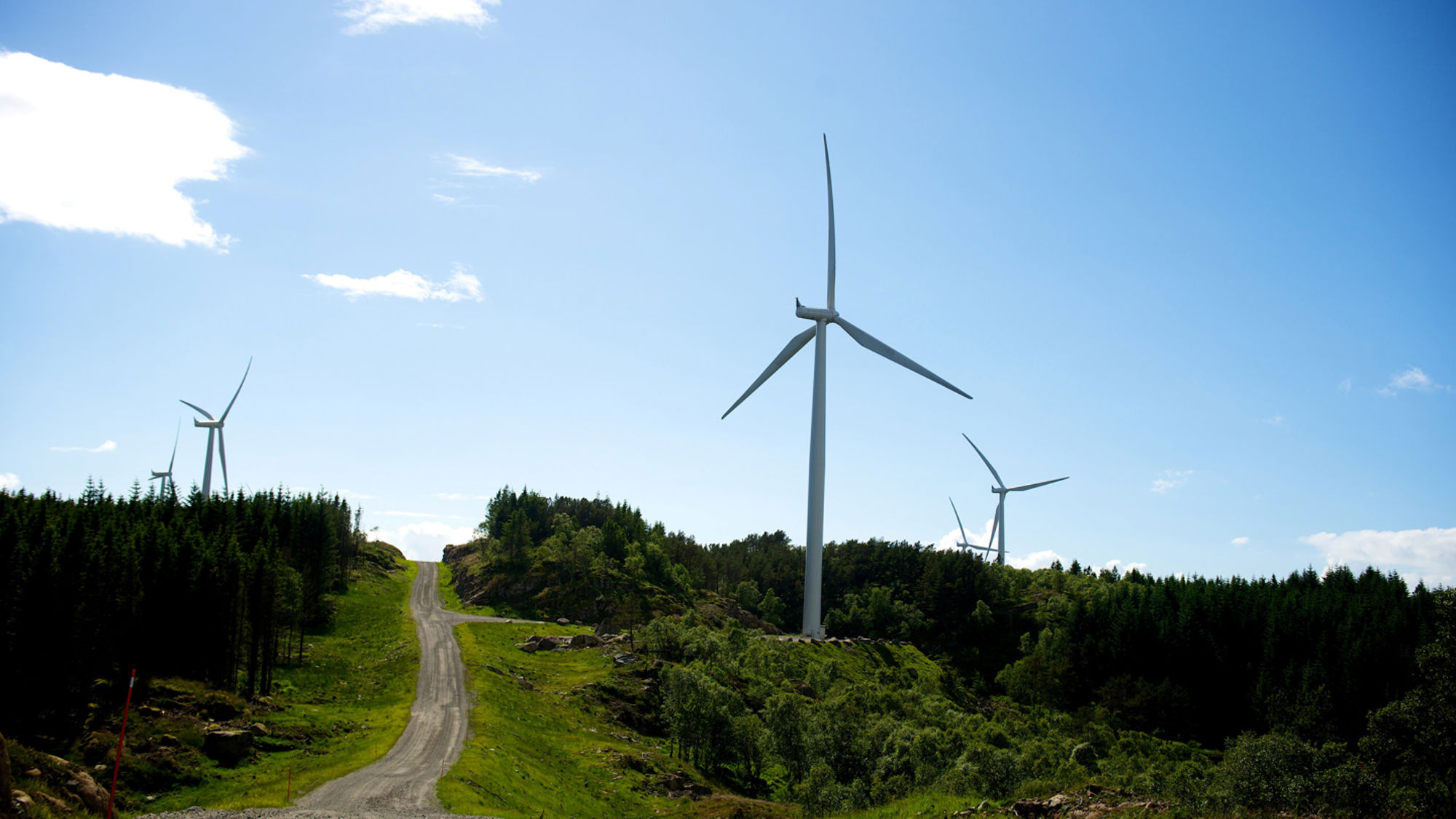 Veidekke får vindkraftsuppdrag åt  BayWa r.e.