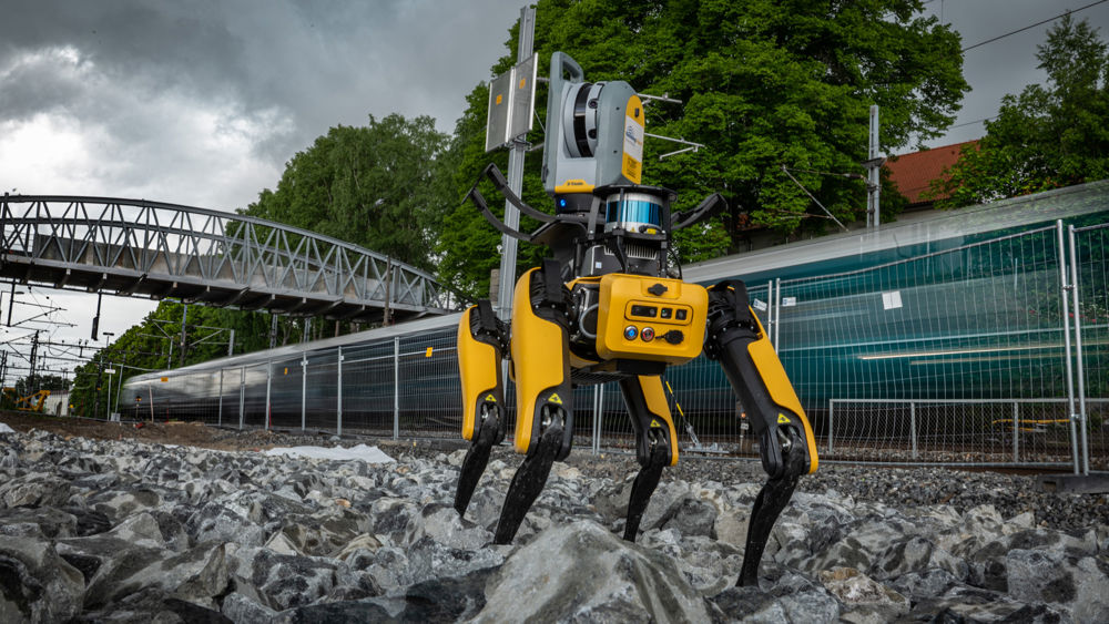 Robothunden Spot i en tunnel framför människor.