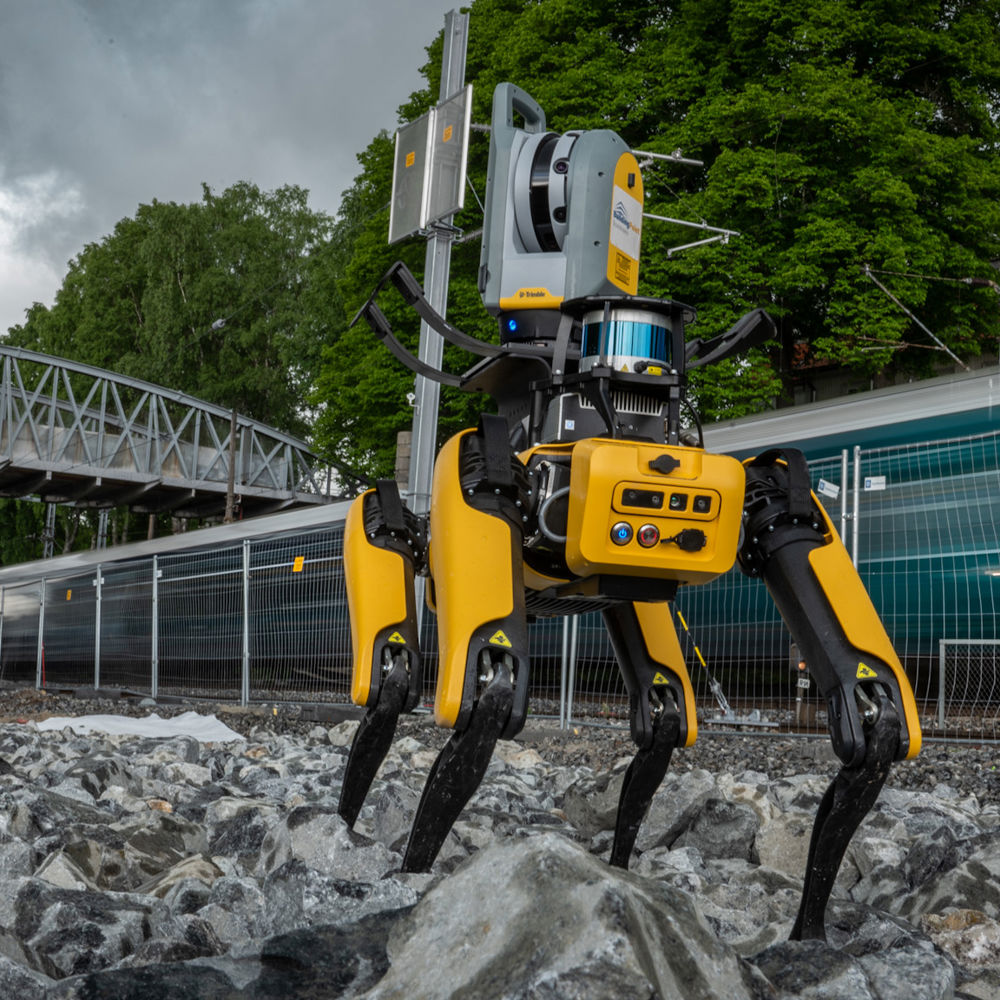 Robothunden Spot i en tunnel framför människor.