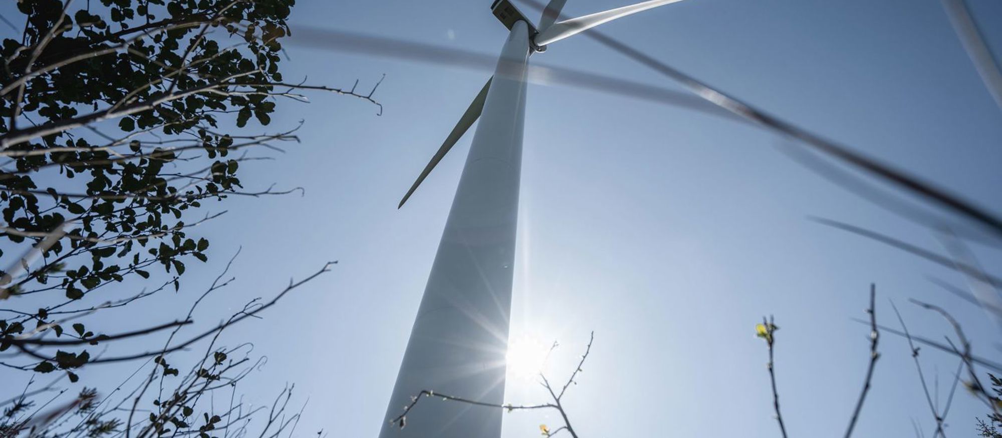 vindkraftverk hires16-scaled