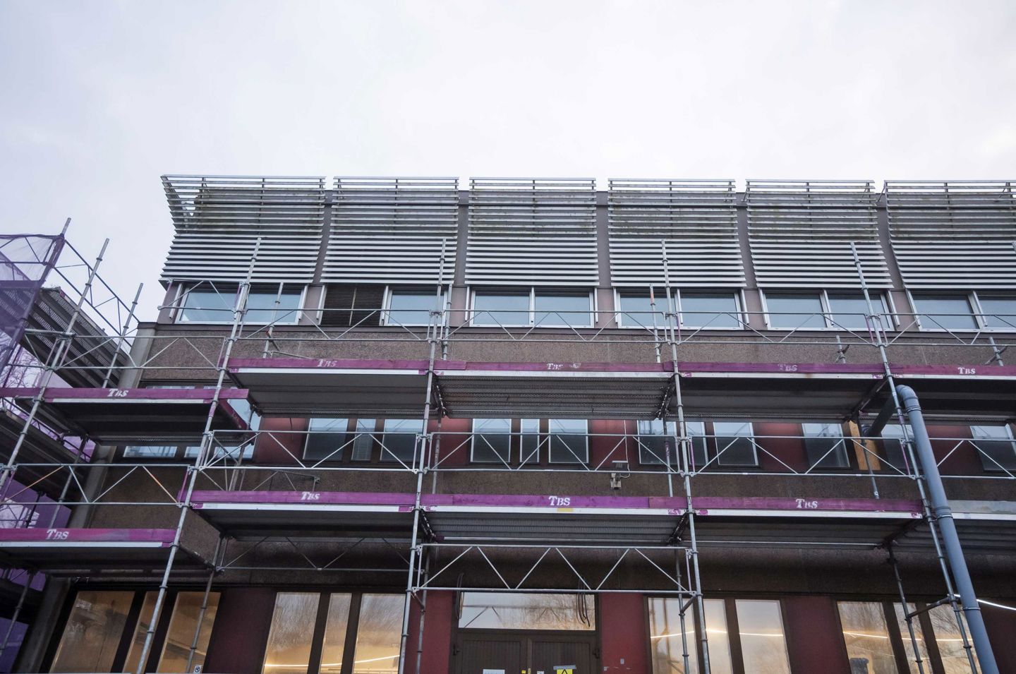 Fasadbild av Zoologen inklädd i byggställning